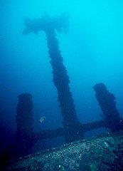T Mast6